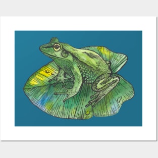 Green frog on green leaf Posters and Art